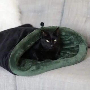 WagWorld Nookie Bag Pet Bed - Green
