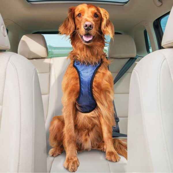 PetSafe Happy Ride Safety Harness Large