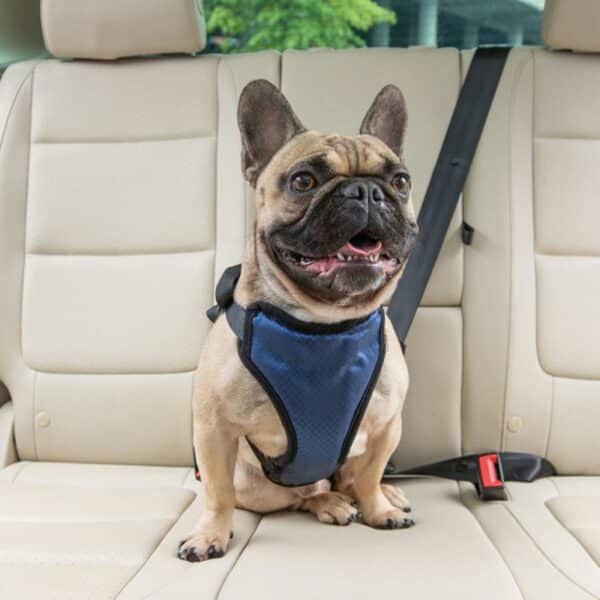 PetSafe Happy Ride Safety Harness Medium