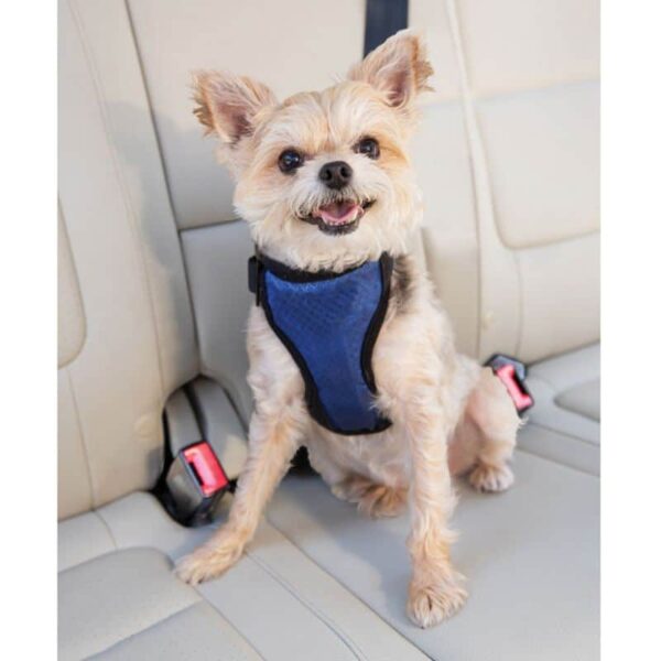 PetSafe Happy Ride Safety Harness Small 2