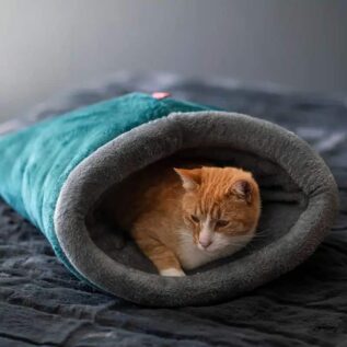WagWorld Nookie Bag Pet Bed - Teal