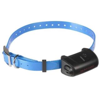Num'Axes Canicom 5 Blue Strap Receiver Collar