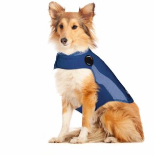 ThunderShirt Dog Anxiety Shirt - Polo Blue, XS