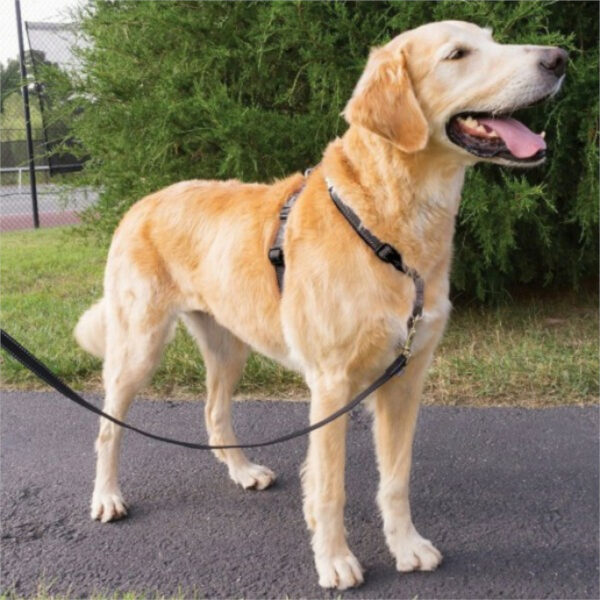 Petsafe Large 3-in-1 Dog Harness & Car Restraint