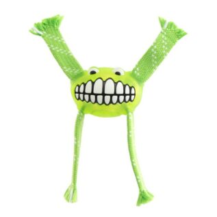 Rogz Flossy Grinz Small 190mm Oral Care Dog Toy, Lime
