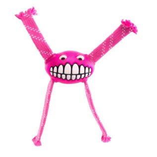 Rogz Flossy Grinz Medium 230mm Oral Care Dog Toy, Pink