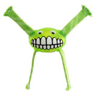 Rogz Flossy Grinz Large 240mm Oral Care Dog Toy, Lime