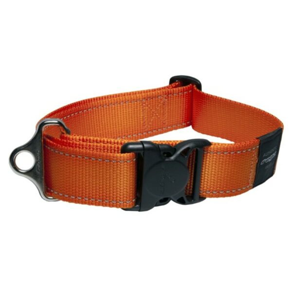Rogz Utility Extra Extra Large 40mm Landing Strip Dog Collar, Orange Reflective