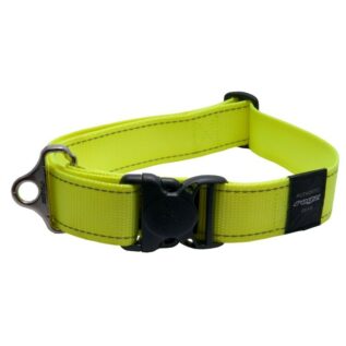 Rogz Utility Extra Extra Large 40mm Landing Strip Dog Collar, Dayglo Yellow Reflective