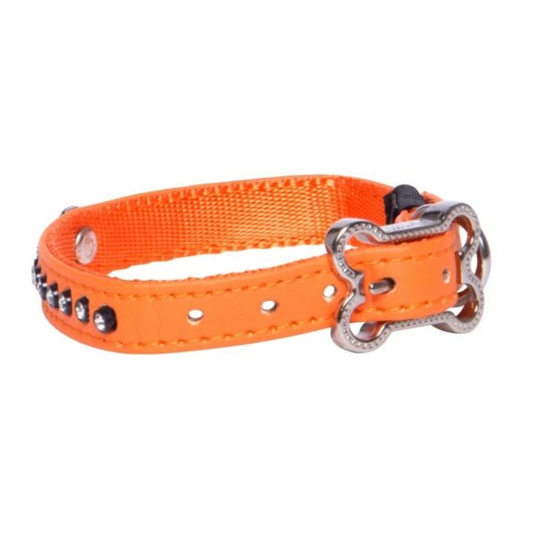 Rogz Lapz 8mm Extra Small Luna Pin Buckle Dog Collar, Orange