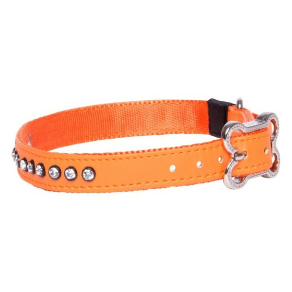 Rogz Lapz 16mm Medium Luna Pin Buckle Dog Collar, Orange