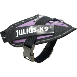 Julius-K9 Baby 1 Purple IDC Dog Harness