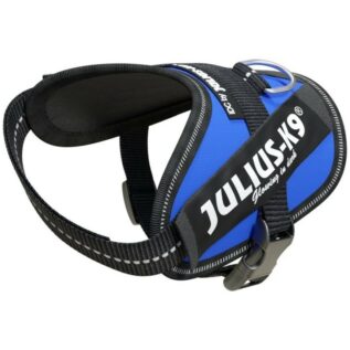 Julius-K9 Baby 2 Blue IDC Dog Harness