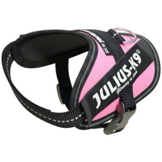 Julius-K9 Baby 2 Pink IDC Dog Harness