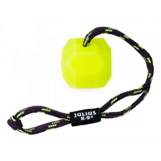 Julius-K9 Neon Green Fluorescent IDC Ball Dog Toy