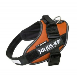 Julius-K9 Size 0 UV Orange IDC Dog Harness