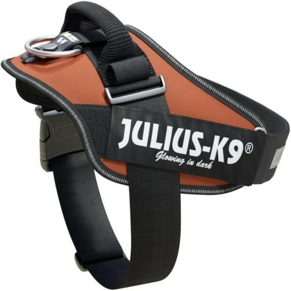 Julius-K9 Size 1 UV Orange IDC Dog Harness
