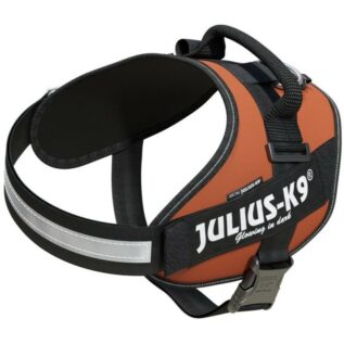 Julius-K9 Size 2 UV Orange IDC Dog Harness
