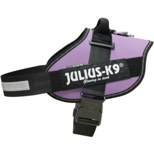 Julius-K9 Size 3 Purple IDC Dog Harness