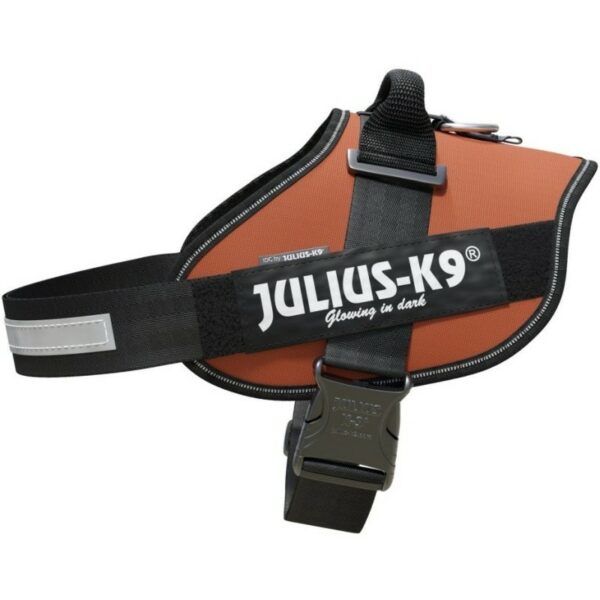 Julius-K9 Size 3 UV Orange IDC Dog Harness