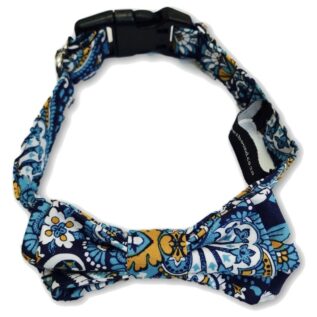 The Dapper Pet Small Paisley Bow Tie Dog Collar