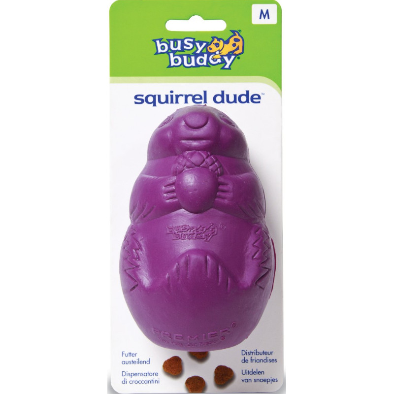 Busy Buddy Medium Squirrel Dude Dog Toy