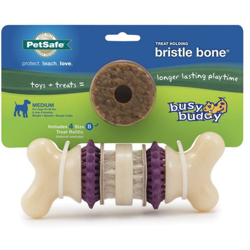 Busy Buddy Medium Bristle Bone Dog Toy