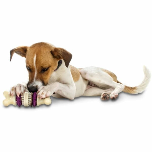 Busy Buddy Medium Bristle Bone Dog Toy