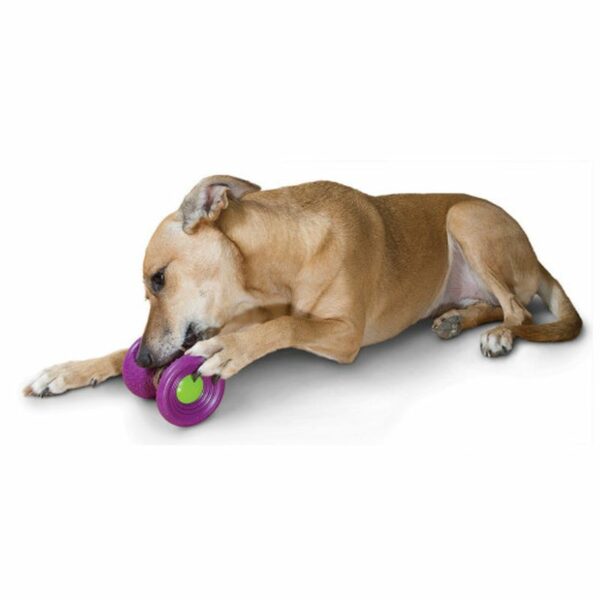 Busy Buddy Small Ultra Woofer Dog Toy