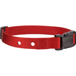 PetSafe Red Replacement Nylon Collar