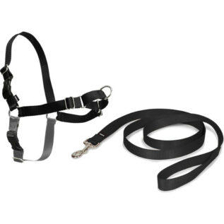 PetSafe Easy Walk Large Black Dog Harness & Lead