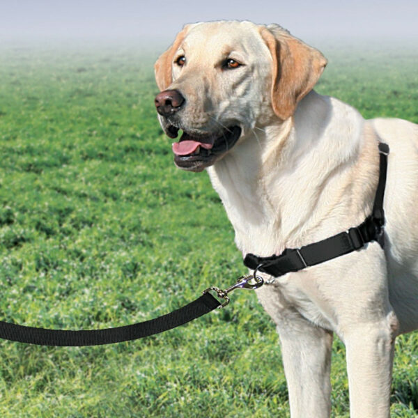 PetSafe Easy Walk Large Black Dog Harness & Lead