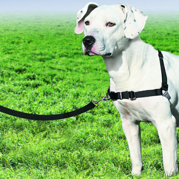 PetSafe Easy Walk Medium Black Dog Harness & Lead