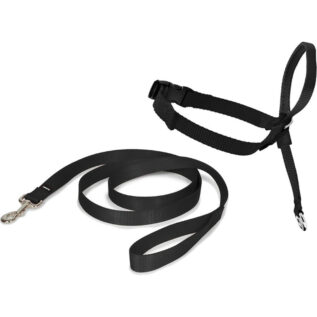 PetSafe Easy Walk Medium Black Dog Headcollar & Lead