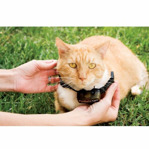Petsafe Deluxe In-Ground Cat Fence Containment System