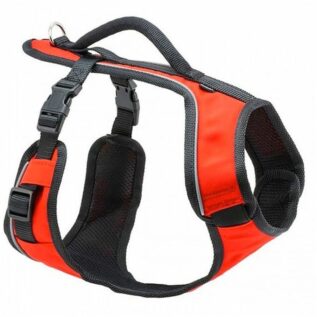 PetSafe Xtra Small Easy Walk Sport Harness