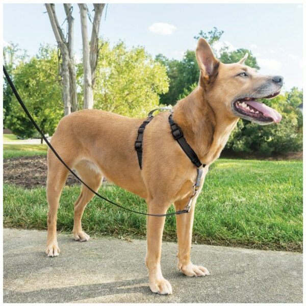 Petsafe Medium 3-in-1 Dog Harness & Car Restraint
