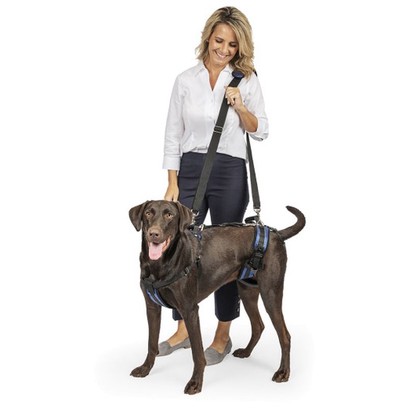 SolvIt Large CareLift Full-Body Dog Lifting Harness