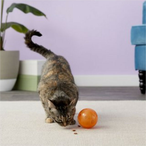 SlimCat Orange Interactive Food-Dispensing Cat Toy